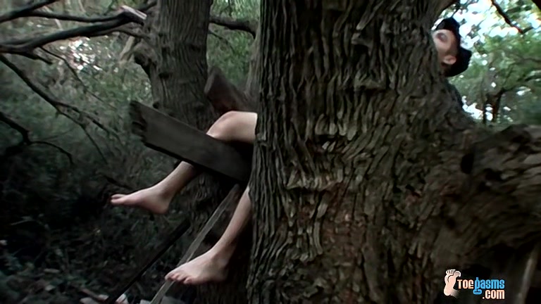 Out In The Park With Drac - Drac Ladder