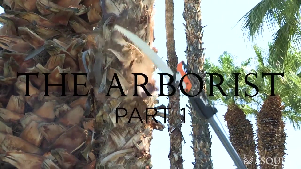 The Arborists, Part 1 - Gay Bareback Video - Masqulin