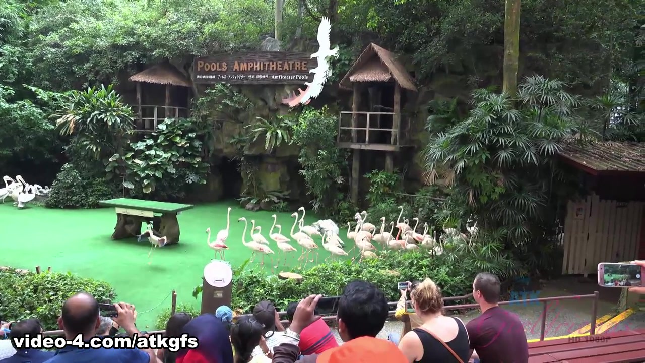 Gia Paige in You Travel From Singapore To Malaysia With Gia - ATKGirlfriends