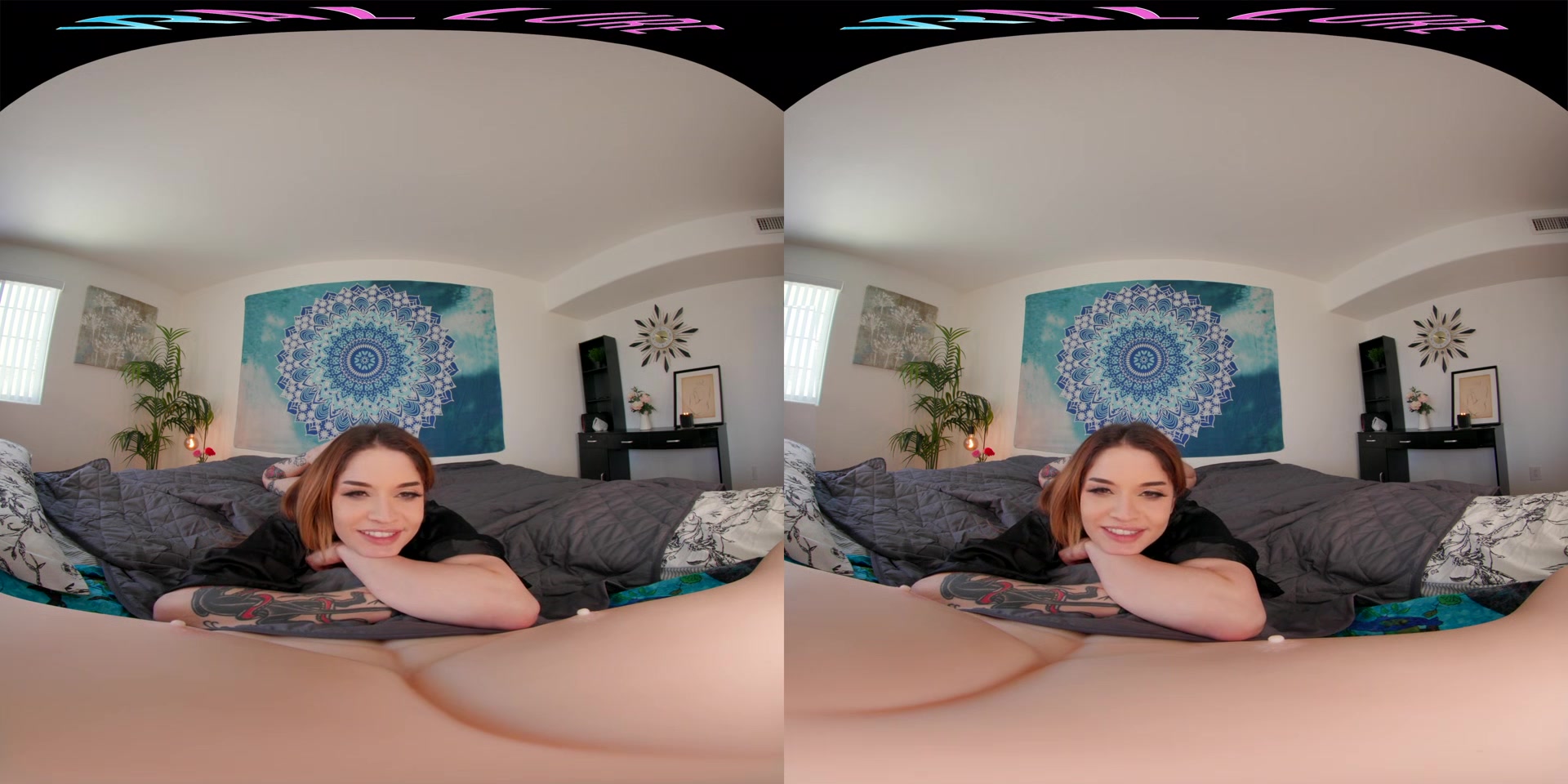 Vanessa Vega - VRHush