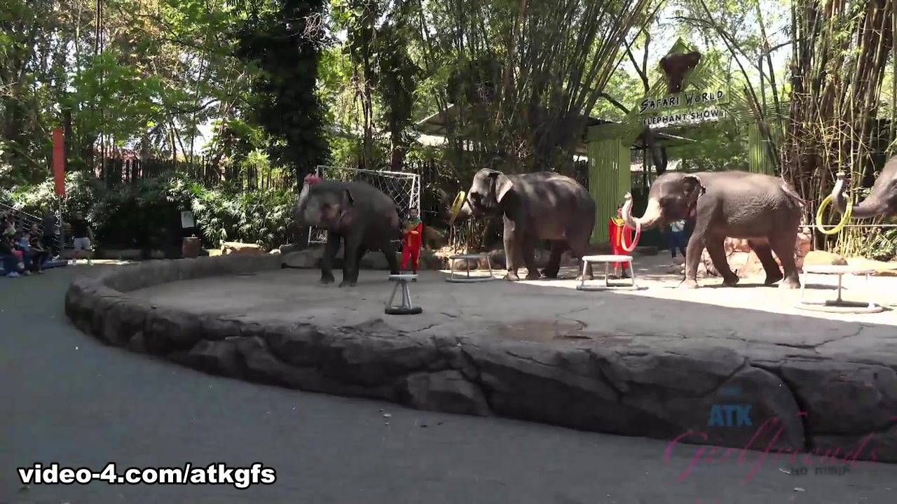 Jamie Marleigh in Jamie Gets To Meet Giraffes Face To Face To Feed Them - ATKGirlfriends