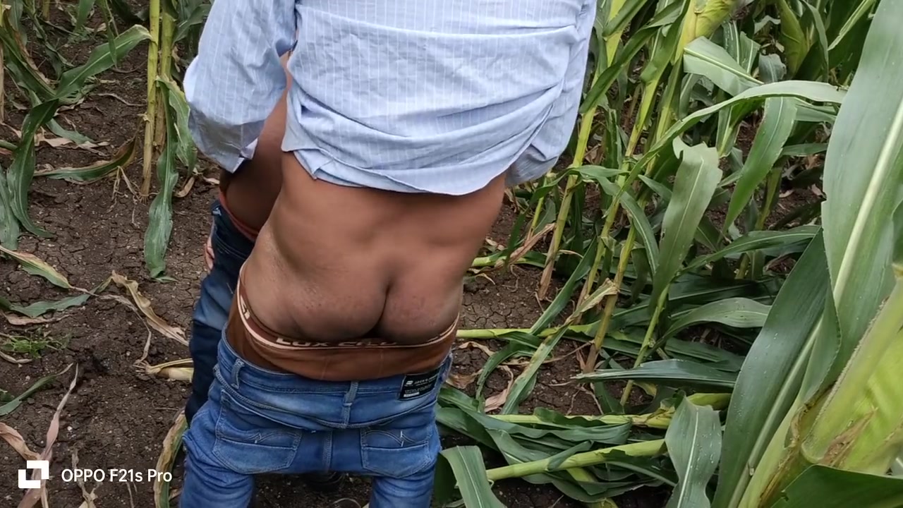 Indian Gay - Today Collage Boy & College Teacher I Saw A Corn Field Side Of The Forest So I Enjoyed Going To The Corn Field