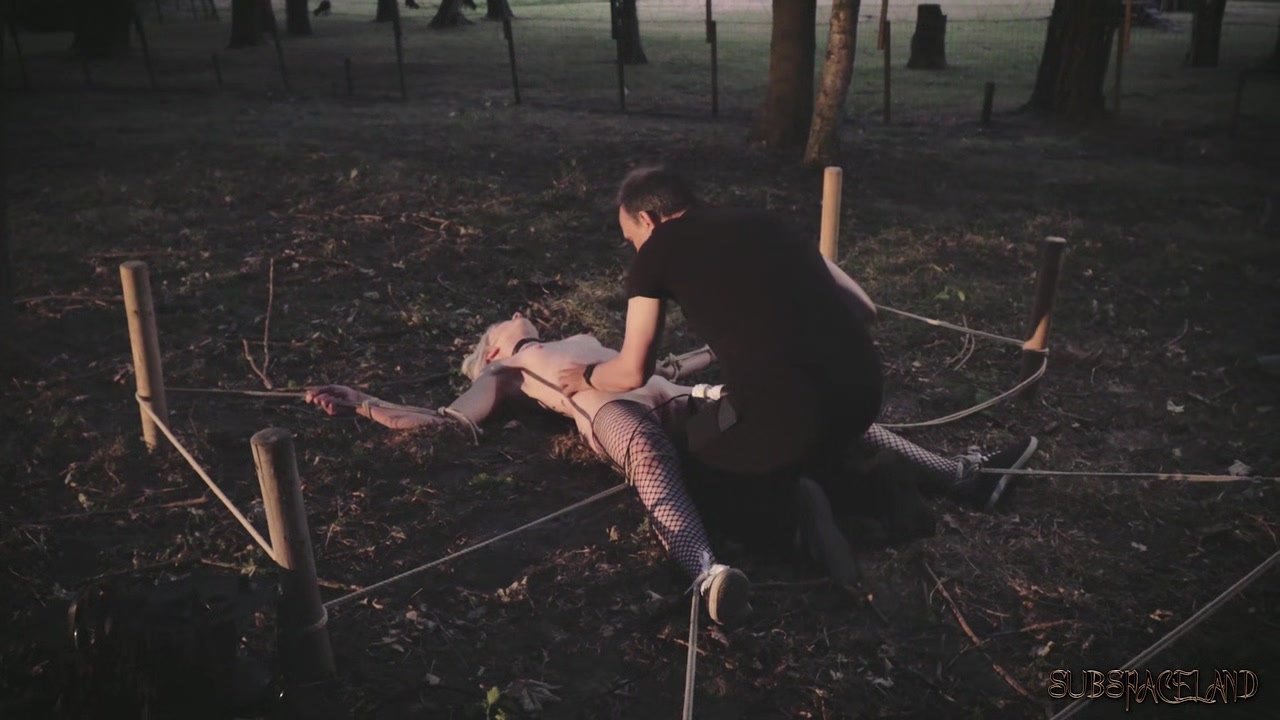 Collared slave foil wrapped to a tree