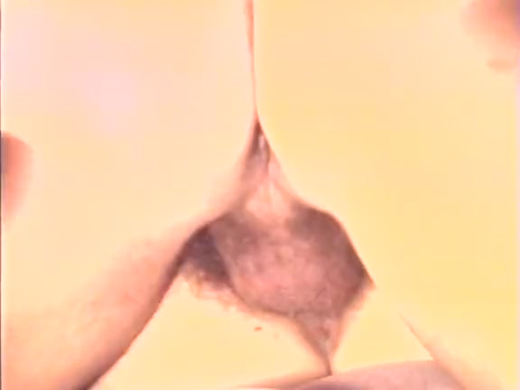 Britt Morgan, Hyapatia Lee, Keisha in vintage porn scene