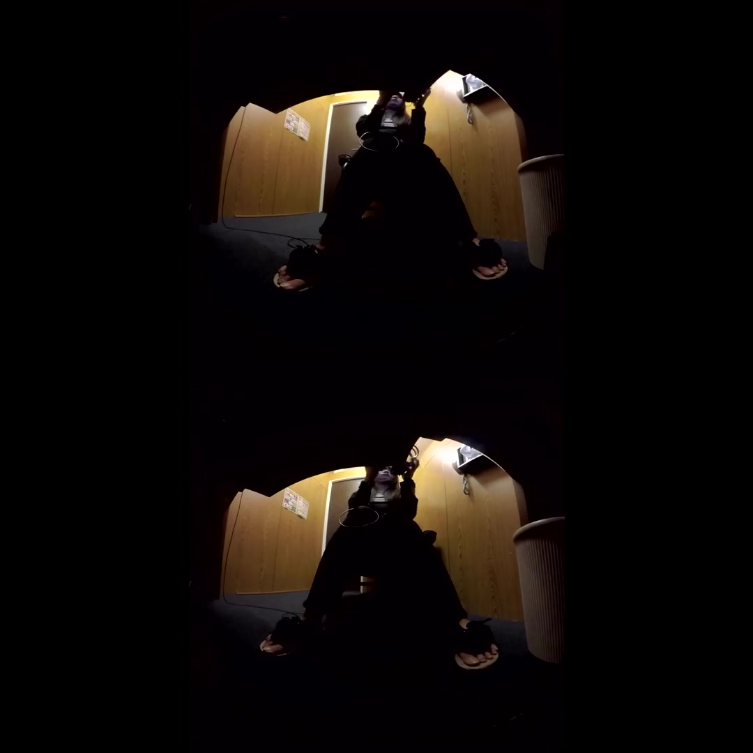 Net Cafe Secret Masturbation 3 - PetersPrimoVR