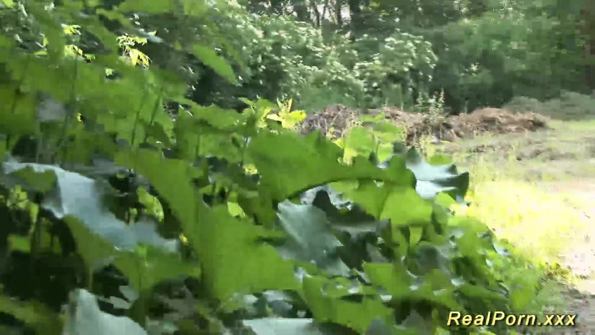 chubby babe gets wild fucked in the forest