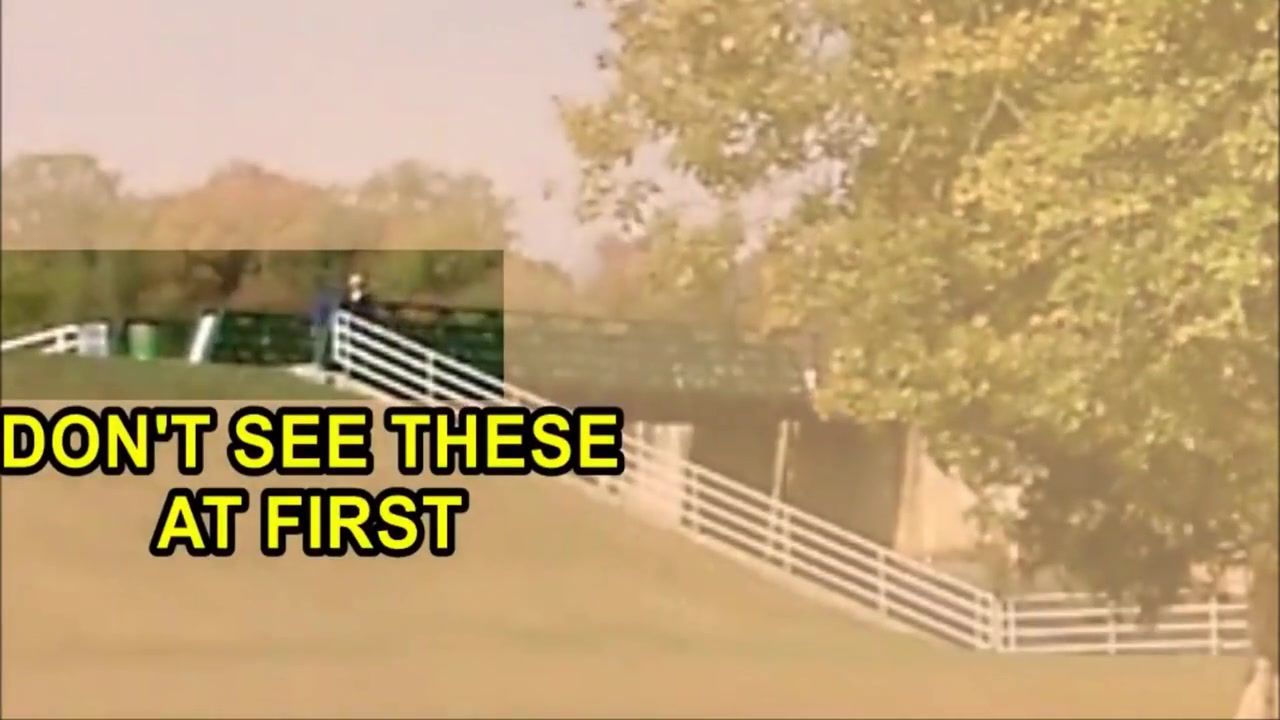 A Miracle I Wasnt Caught Jacking In A Public Park 2013
