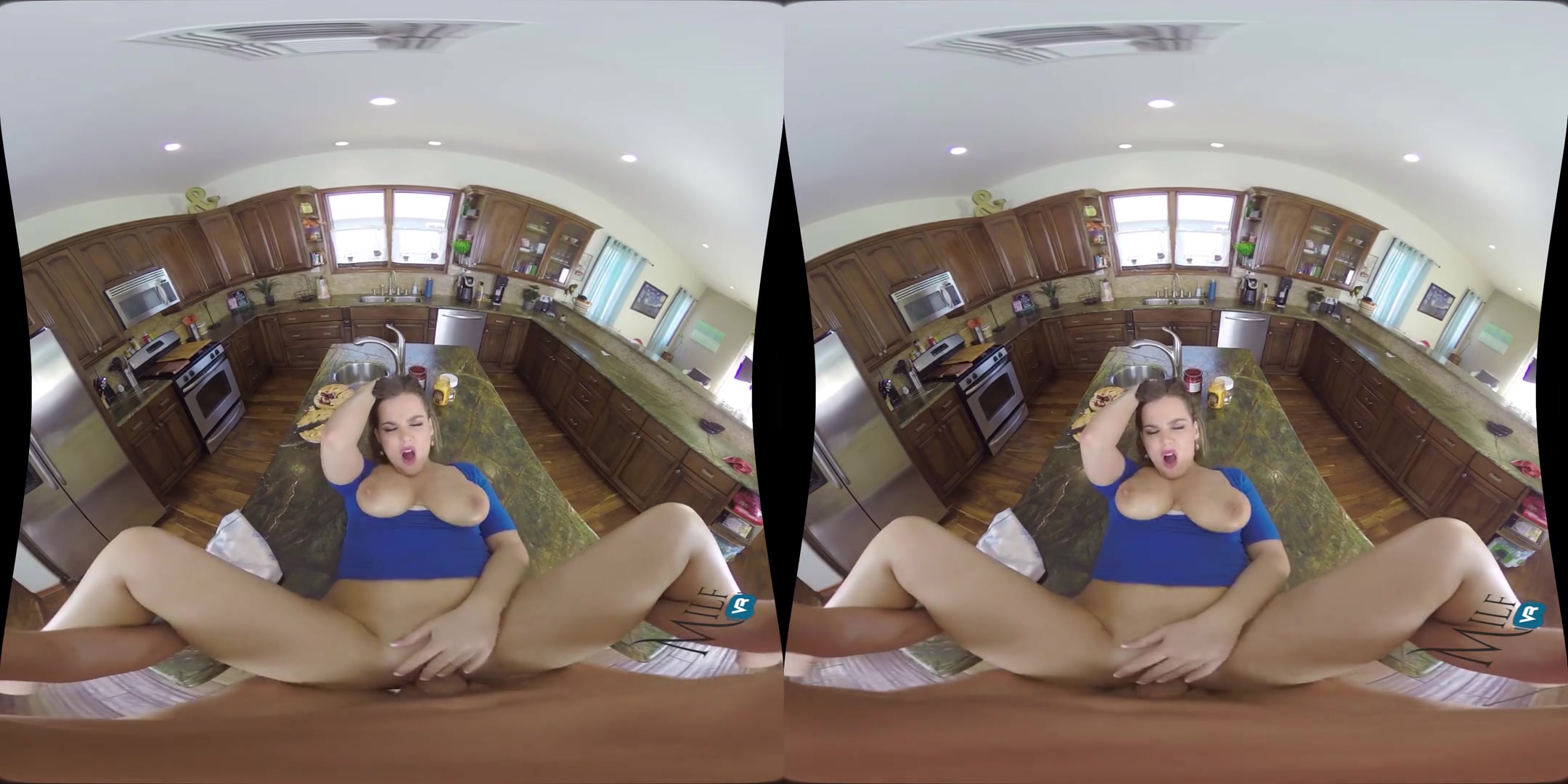 American Pie - Hour Long VR Porn Video with Big Tits Pornstar Natasha Nice