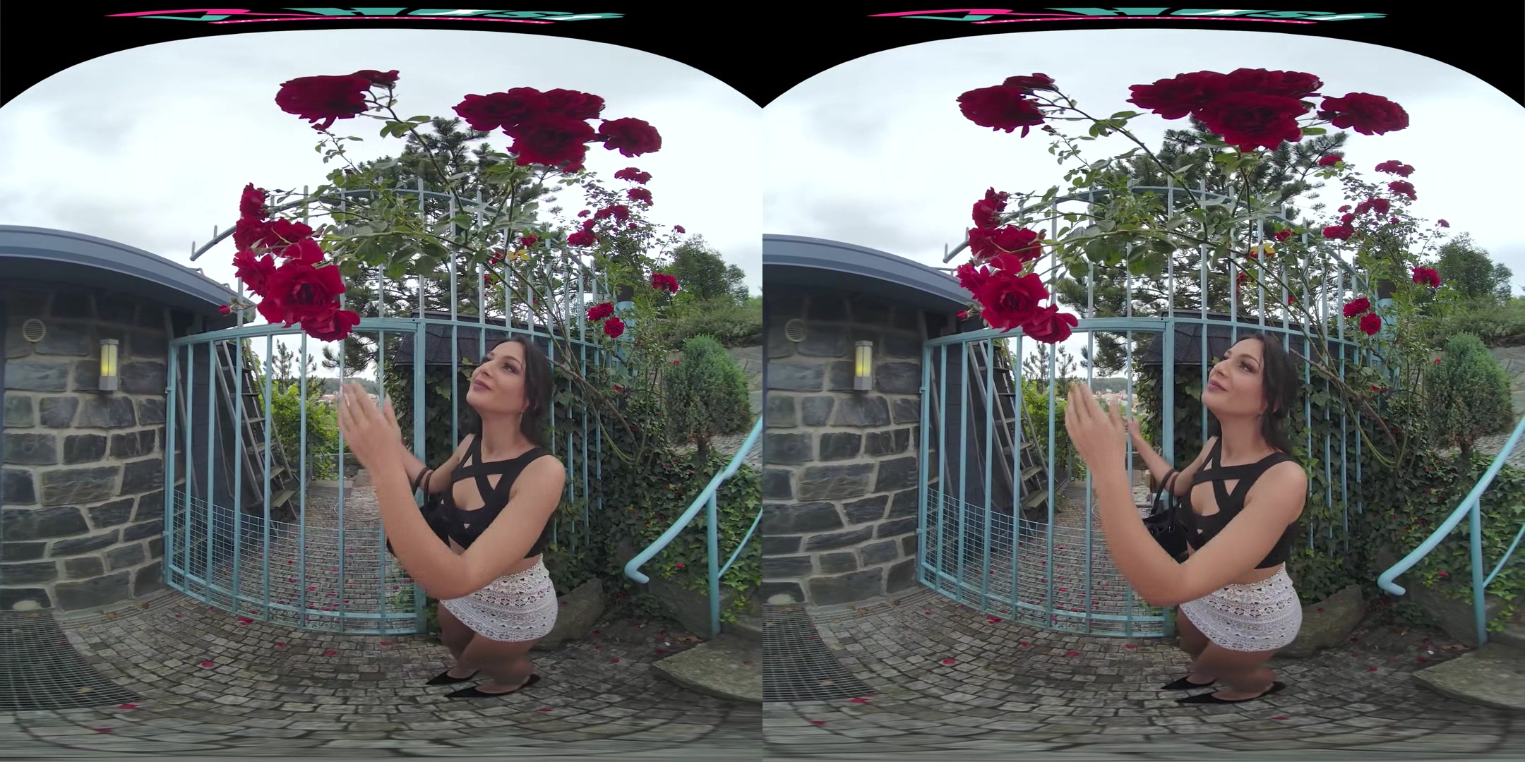 VRHUSH Kiss from a rose with Mia Trejsi