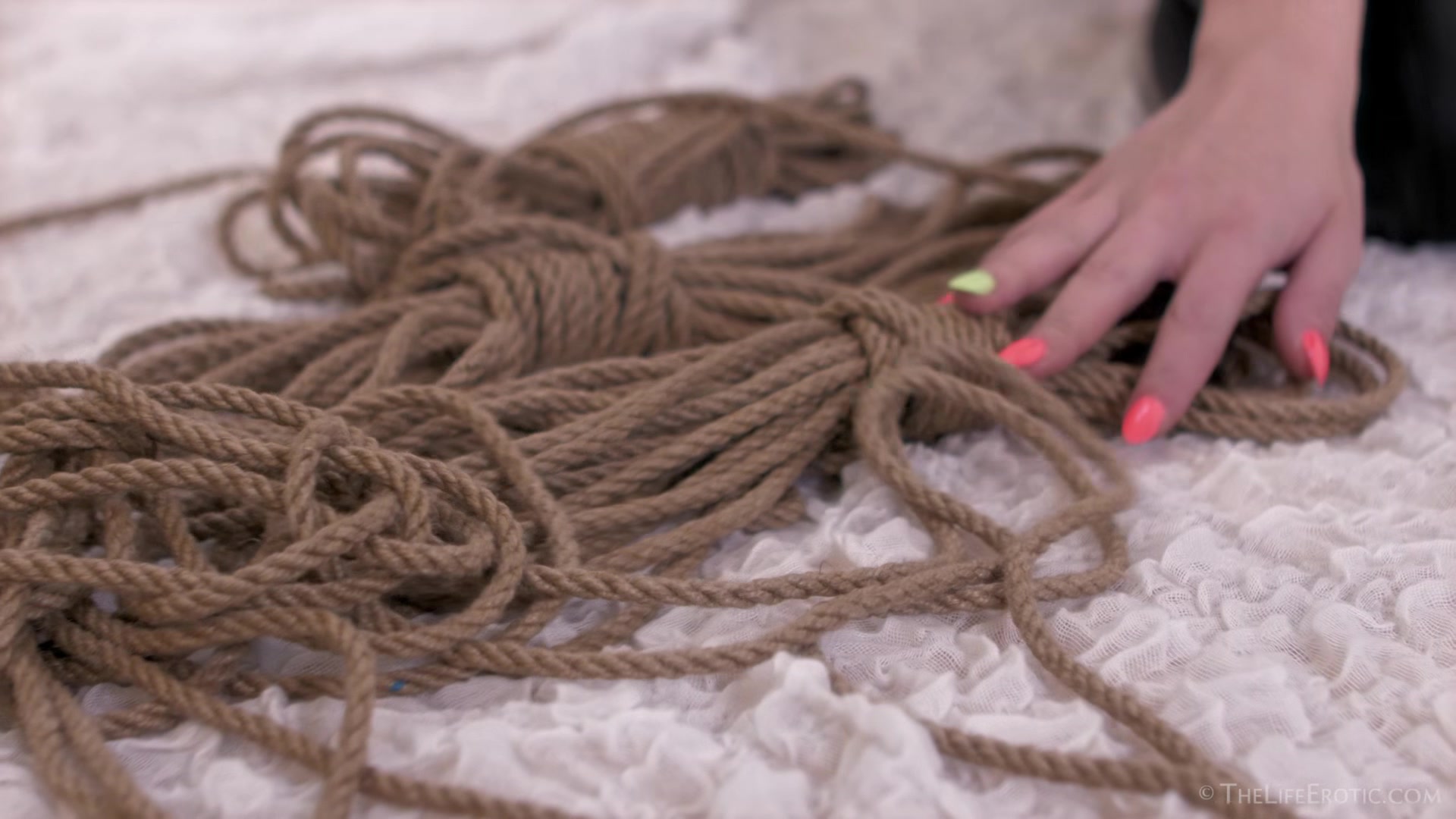Knot 2 - Lady Bug - TheLifeErotic