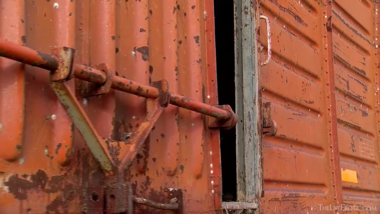 Abandoned Train 2 - Solange - TheLifeErotic