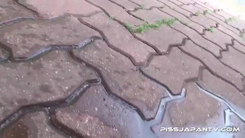 Piddle Here, Puddle There 2 - PissJapanTV