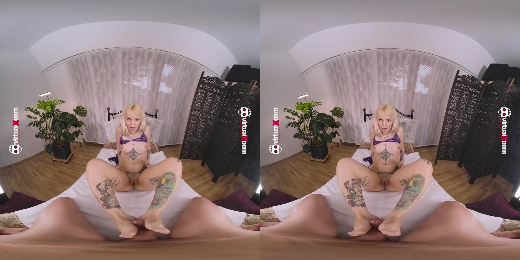 Ass Prolapse Queen Kyra Sex Dp Pov Fucked.