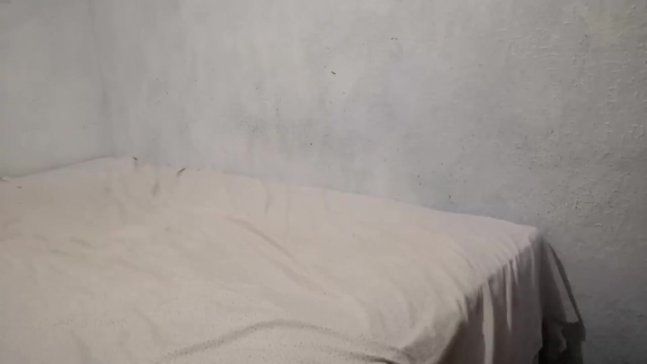 College Girl Asks Me For Help To Record A Tiktok And Ends Up Riding On My Cock