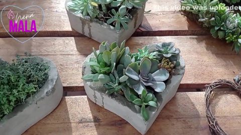 Rubia Argentina Se Come Una Pija Enorme Como Regalo De San Valentin