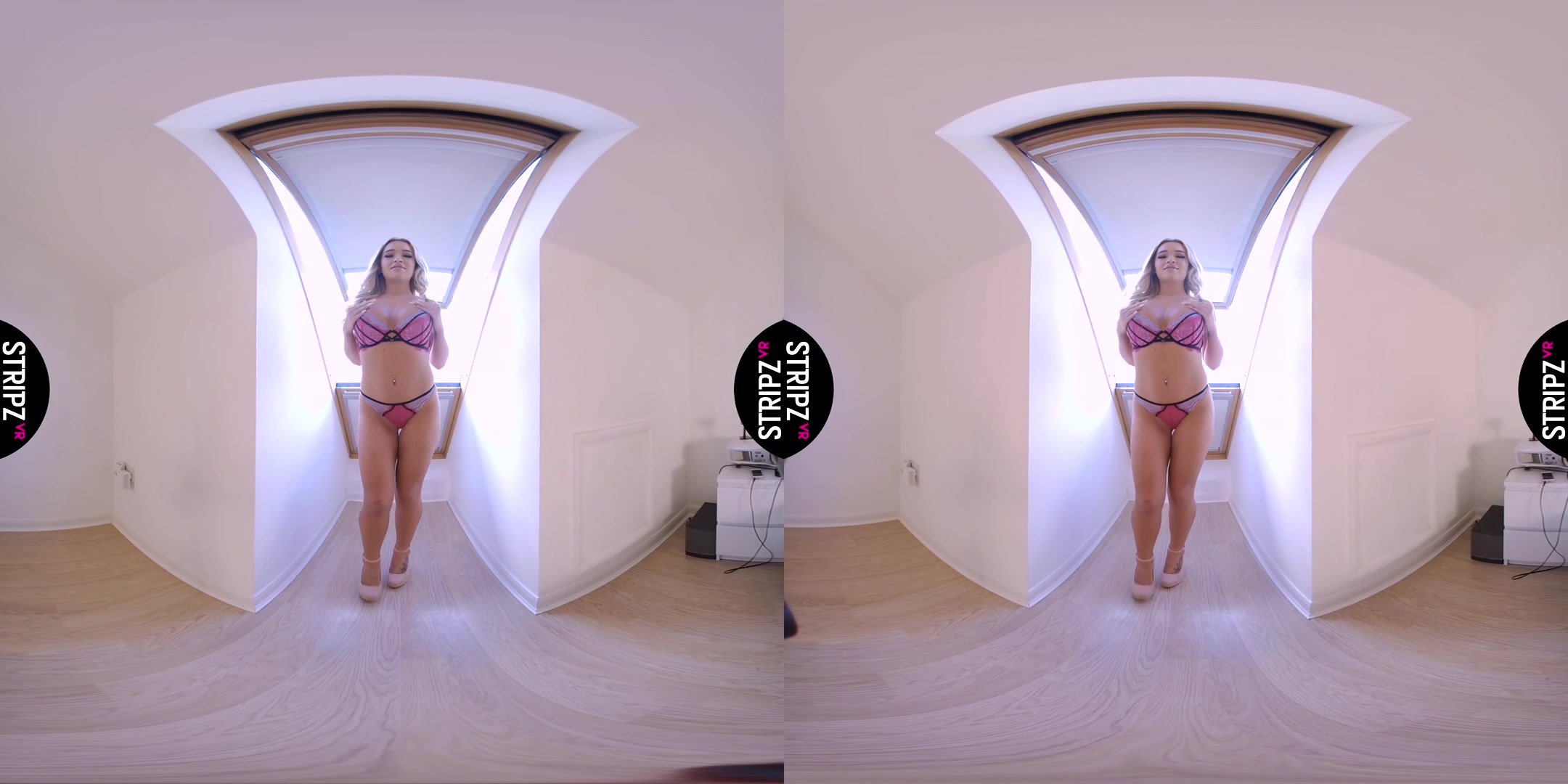 Room With a View - StripzVR