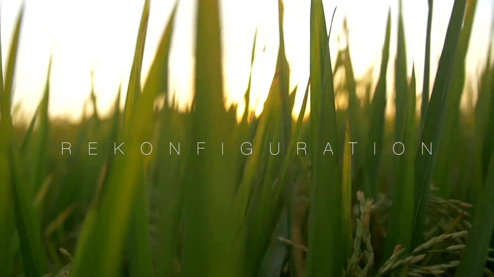 Rekonfiguration By Cipriani Un Viaje Mental - Cristiancipriani