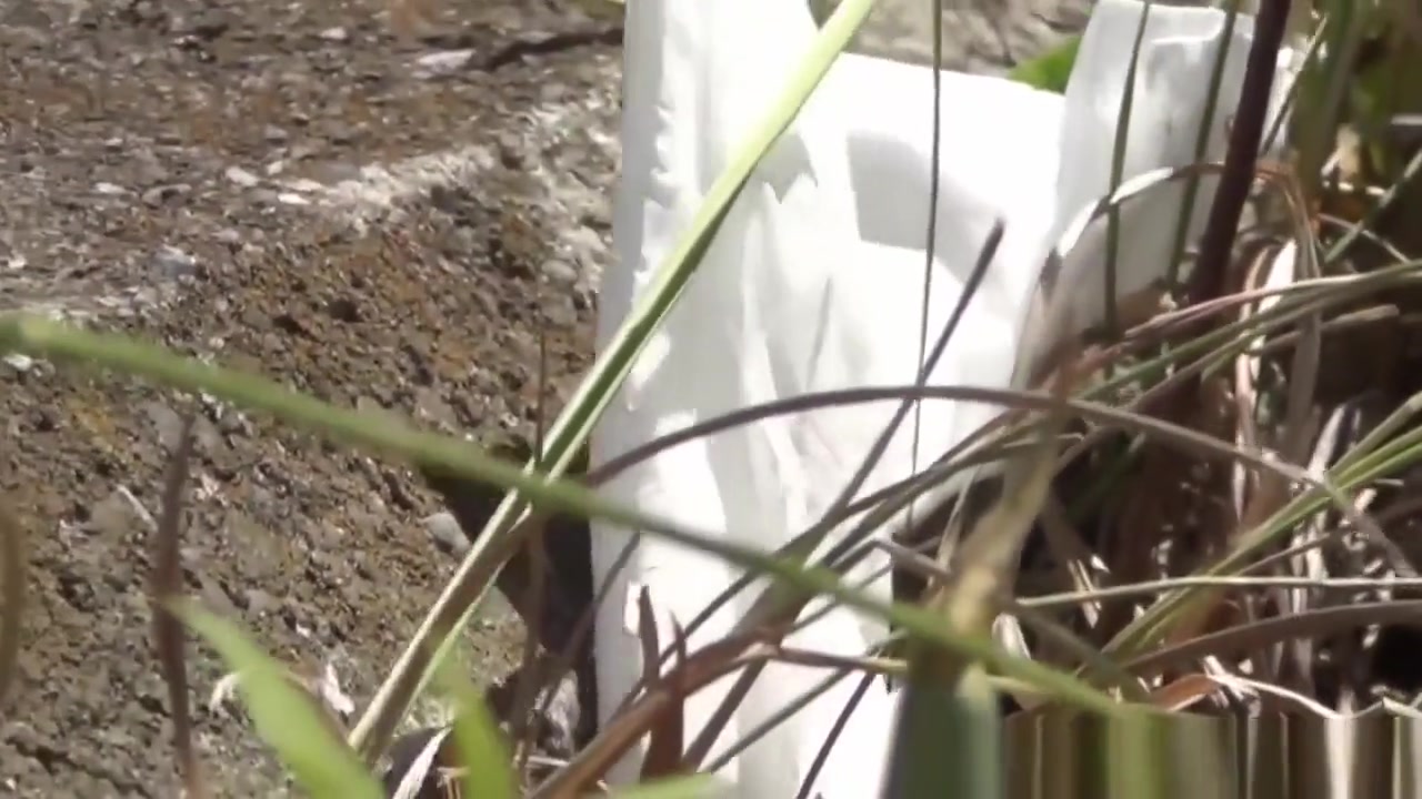 teen 18+ students 18+ Pee Outside