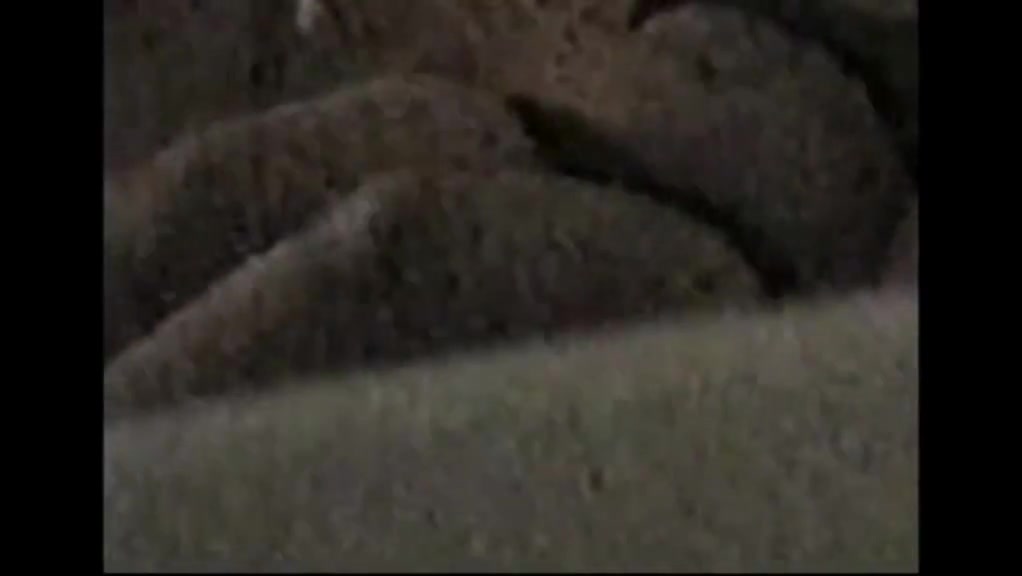 Our white friend sucks and fucks my tamil wife.