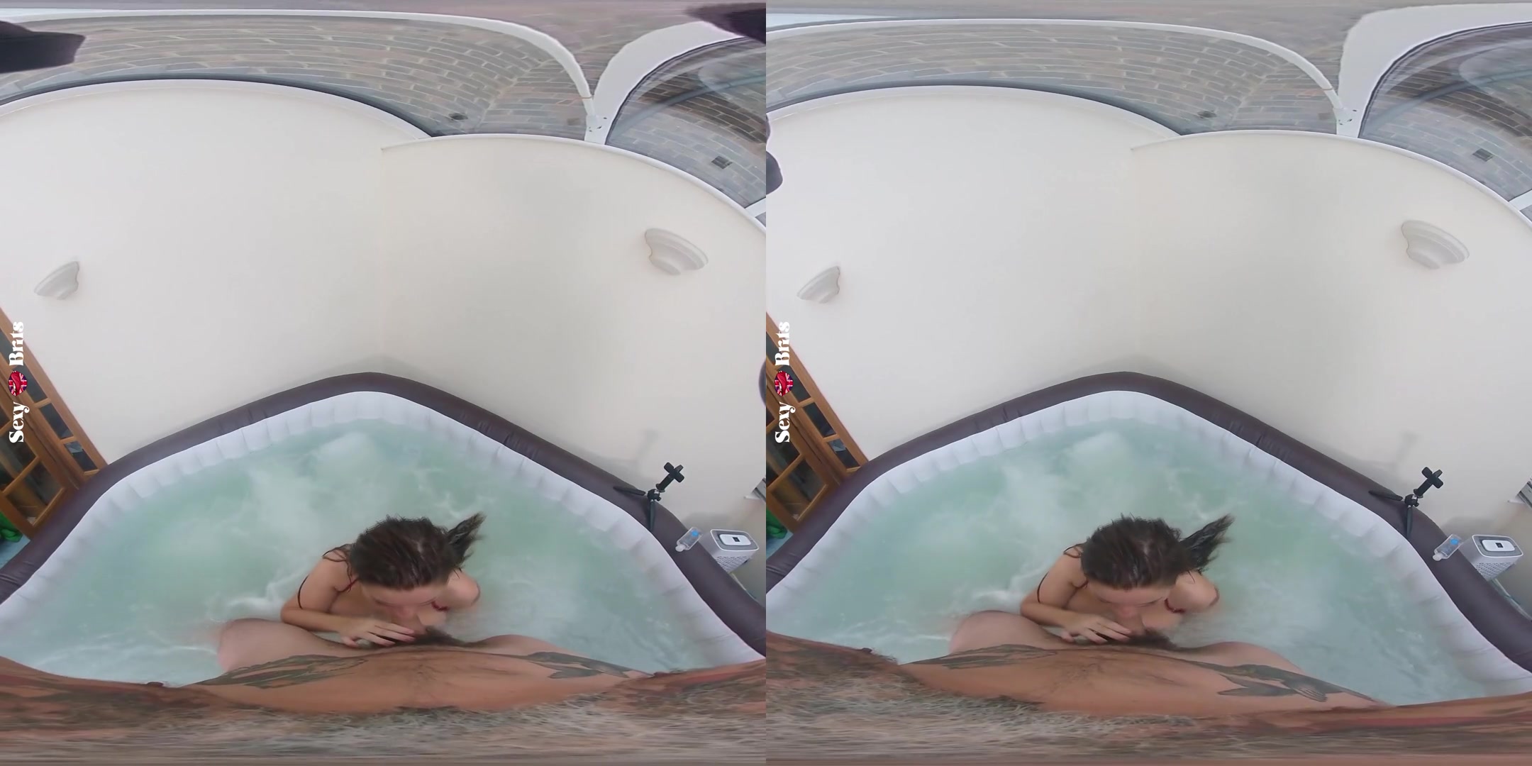 How to Bathe Your Aussie I