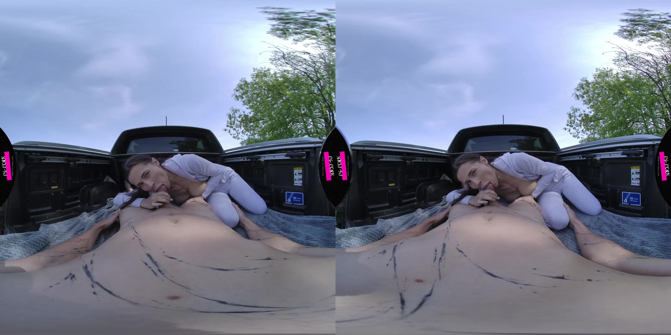 Sex In A Pickup Truck