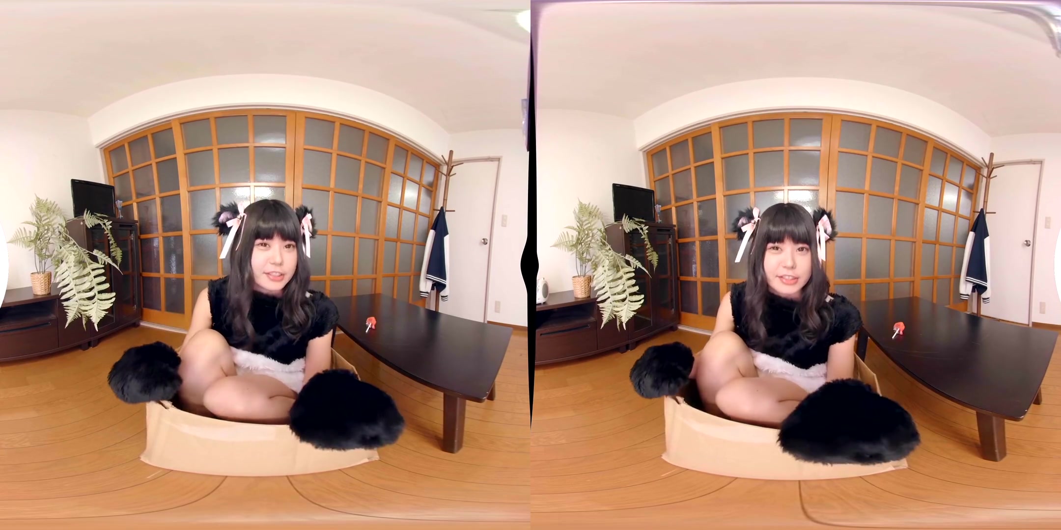 Mayo Usamimi Human Panda - FANTASTICA