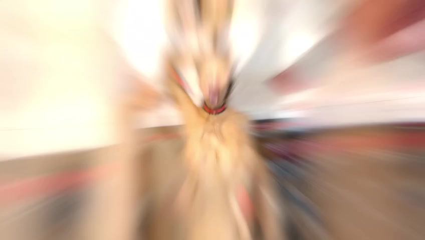 Balls Deep with Pee, Lika Gold 3on1, Balls Deep Anal, Gapes, Pee Drink, Cum in Mouth GL513 - PissVids