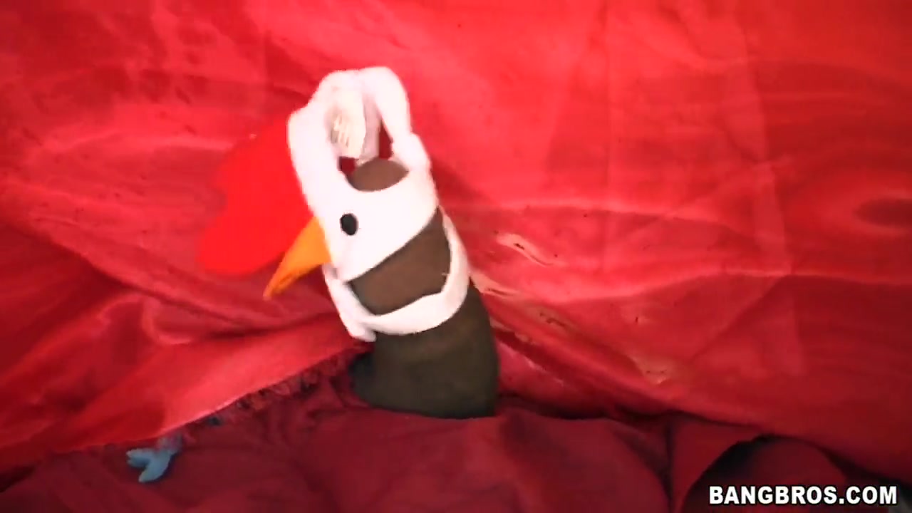 Massive cock puppet show for a sexy exotic babe