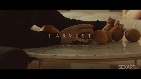Harvest - Nata Ocean & Tommy Gold