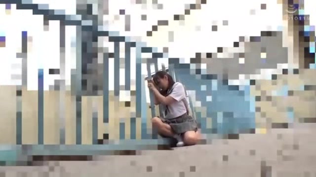 07337,Japanese lewd sex videos