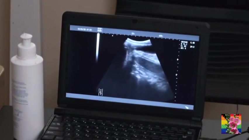 hbw Medical Bare