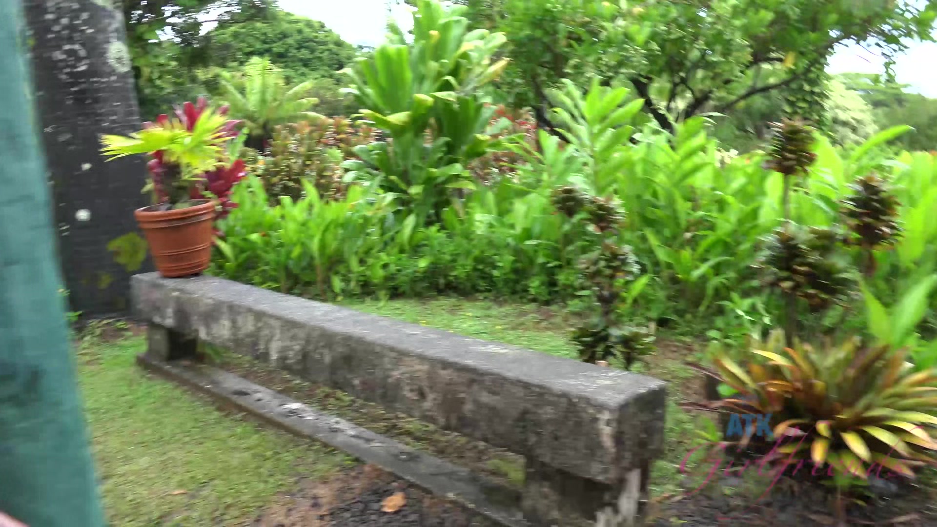 Virtual Vacation Hawaii With Lily Adams 6/11