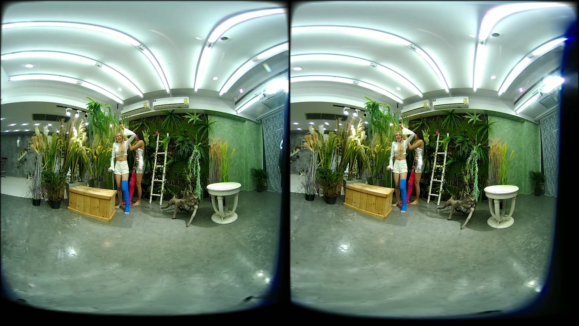 2 Girls With Long Cast Leg Visit A Flower Store 2 - VRPussyVision