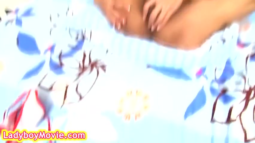Hung Ladyboy Slut Gives Guy All Kinds Of Pleasure - Thai Lady