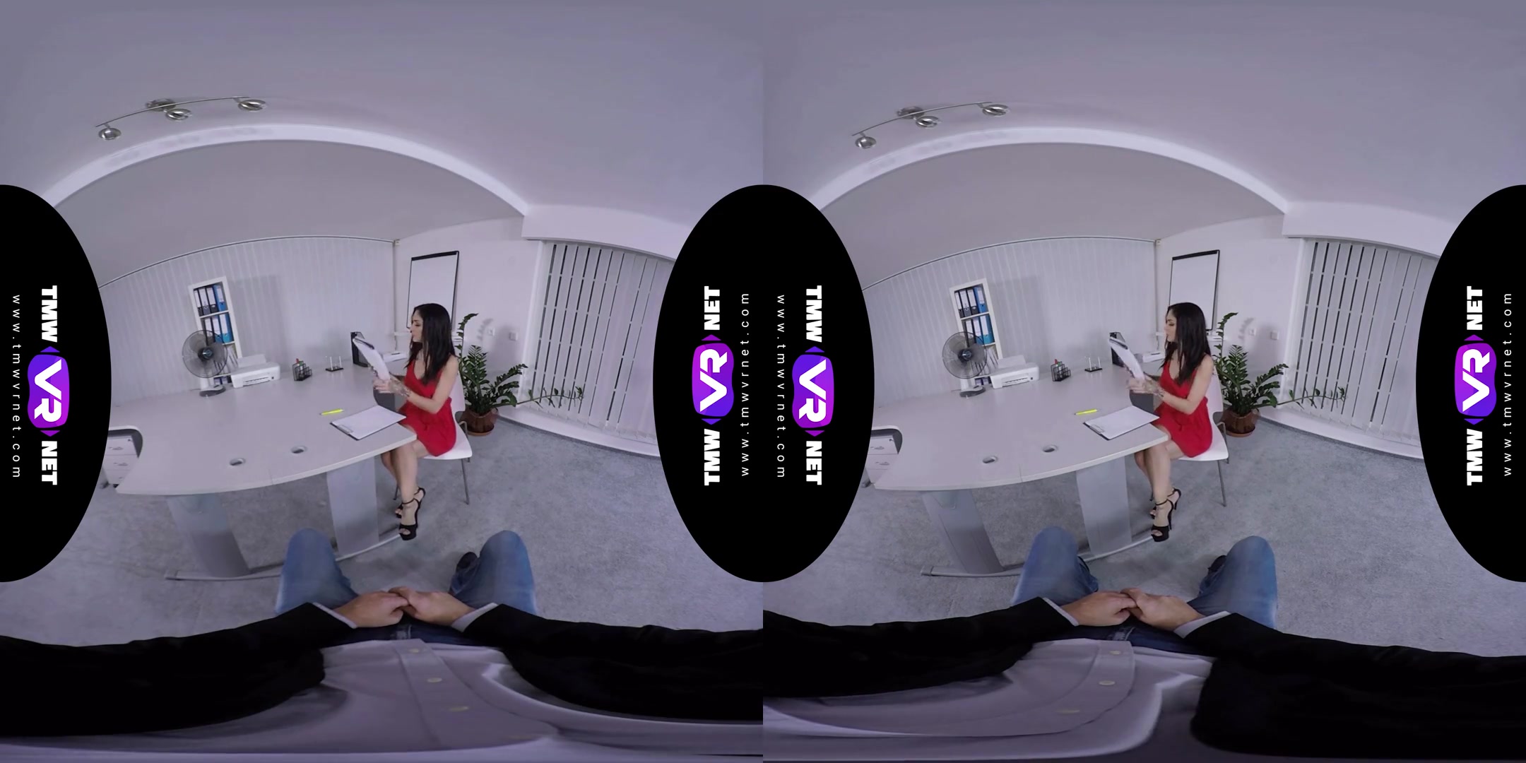 Lullu Gun in Hardcore VR Fuck With A Sexy Brunette Employer - TmwVRNet