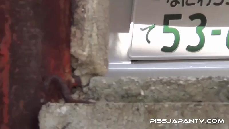 Piddle Here, Puddle There 8 - PissJapanTV