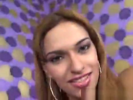 Ts Sara Saad t-girl Porn trannies tranny Porn t-girls Ladychap Ladytwinks Ts shelady Tgals Cd t-girl By Iskgazooaan505