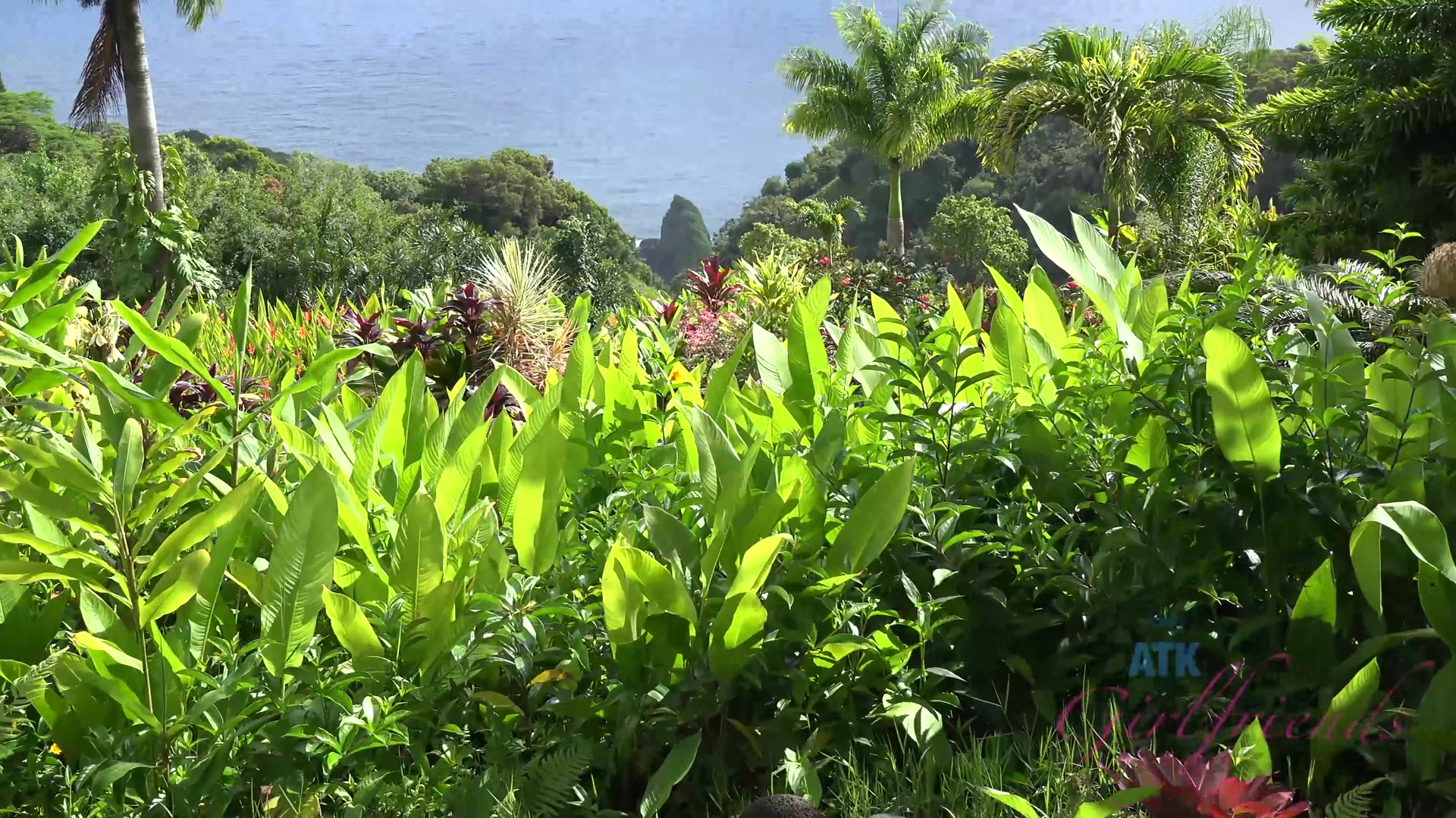 Virtual Vacation In Hawaii With Rococo Royalle Part 5
