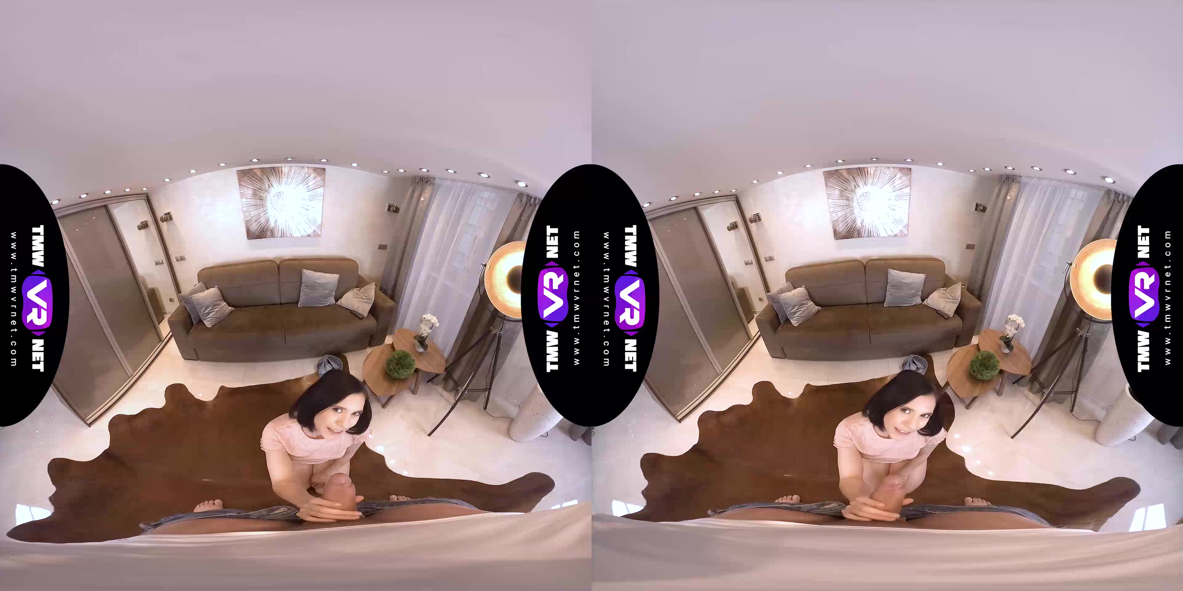 Roommates become lovers on couch