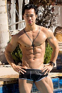 Watch Frank Stallion videos