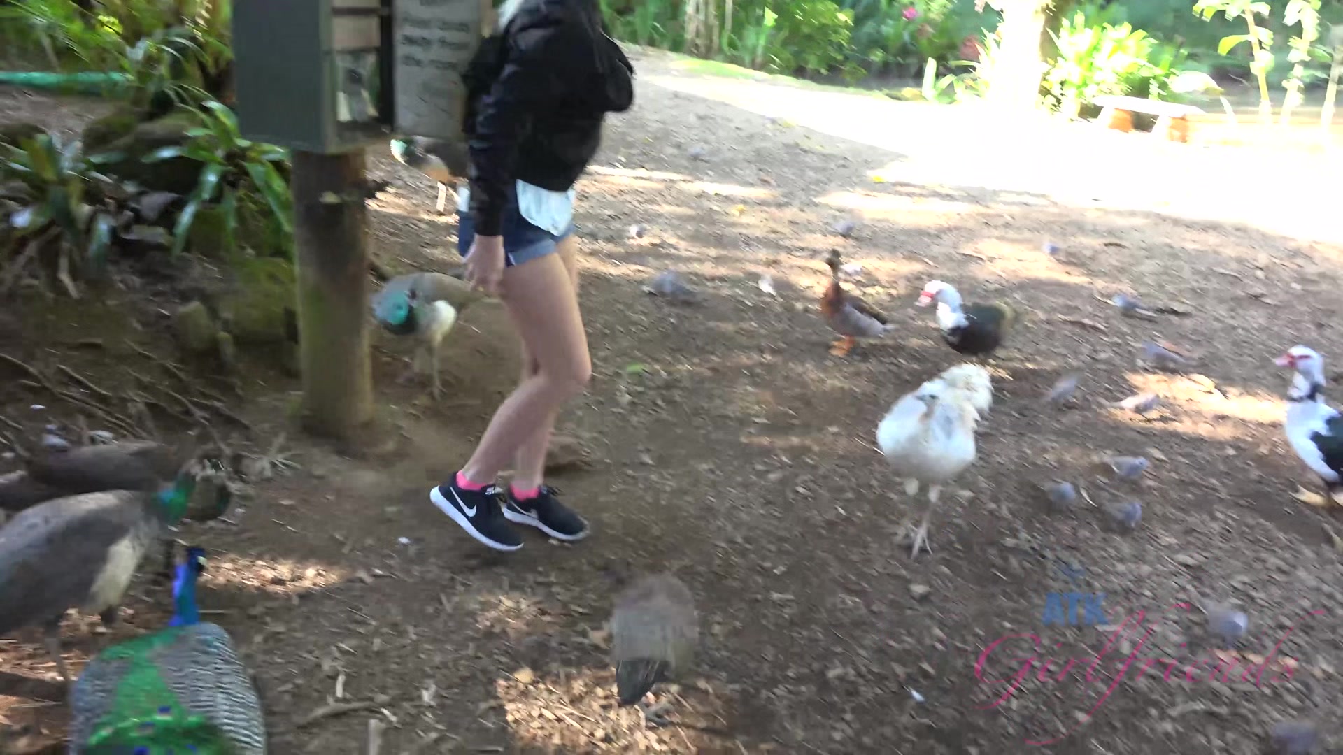 Virtual Vacation In Hawaii With Bailey Brooke Part 7