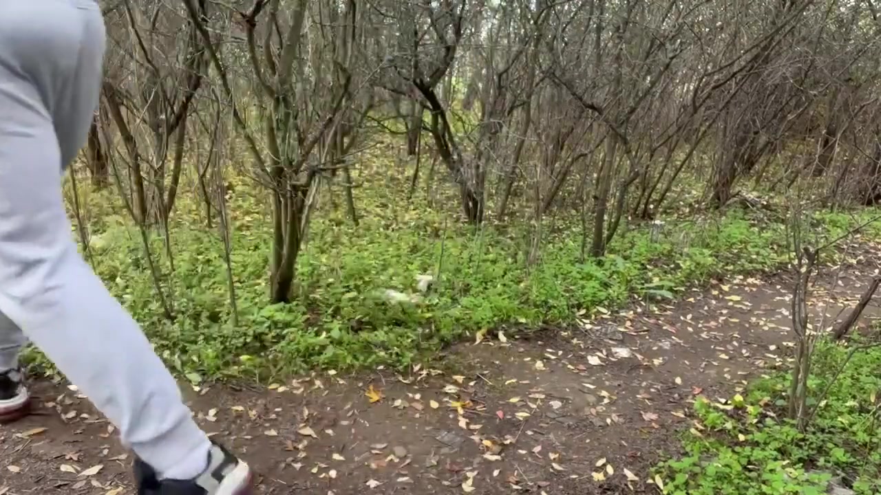 Cruising In Park Whit Strangers