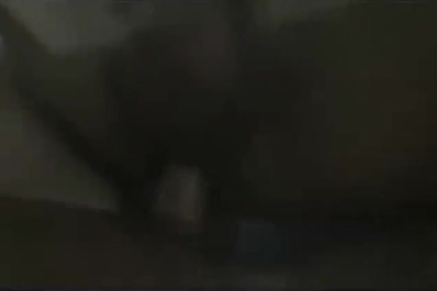Suckee Fuckee