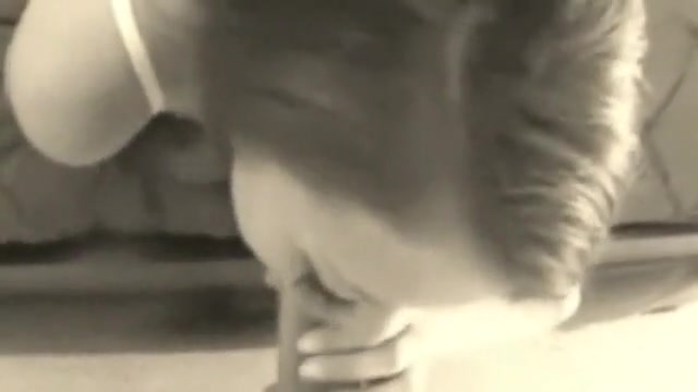 POV sex video of a slut engulfing on my stiff rod
