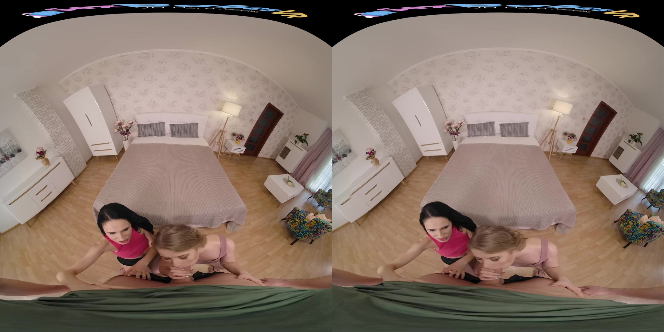 Best Plan - SexBabesVR