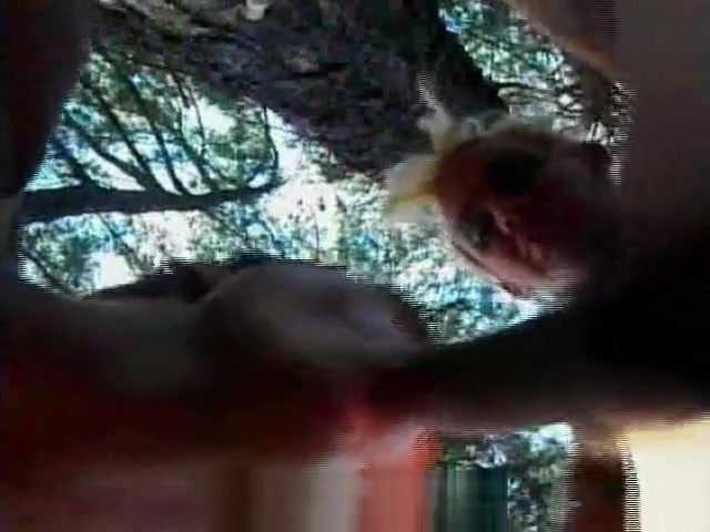 Oral caress with a tranny in a forest