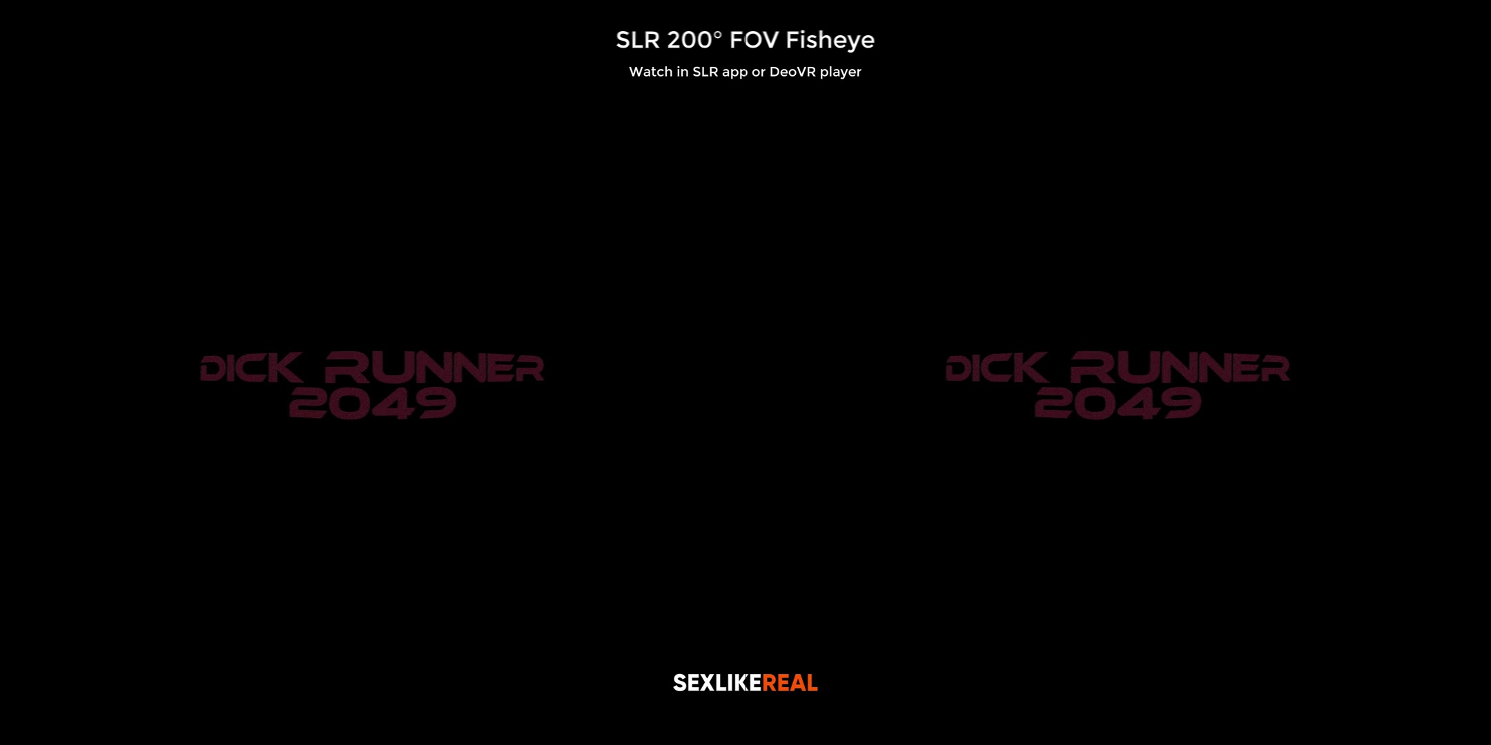 Dick Runner 2049 ver 2.0 - SLROriginals