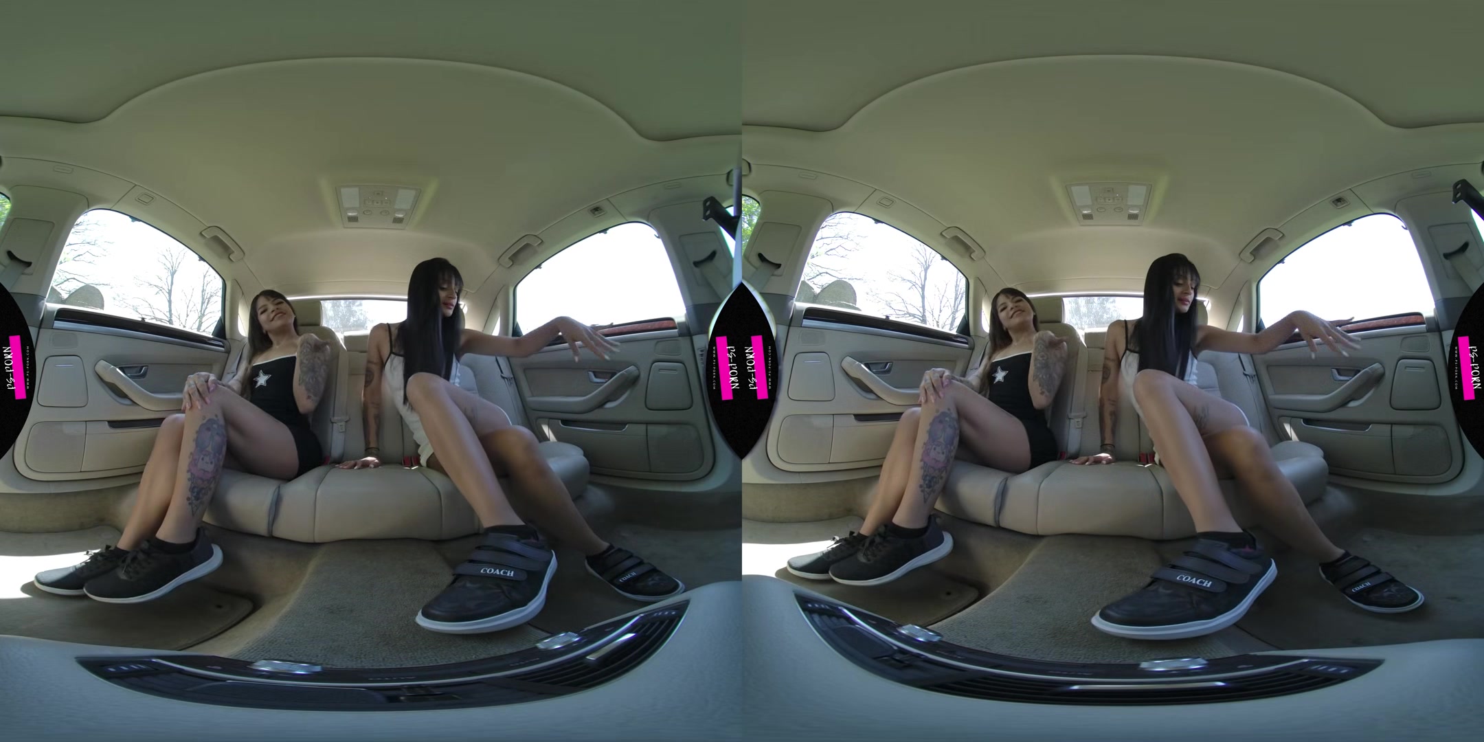 Girls Masturbating In The Car - Ps-Porn