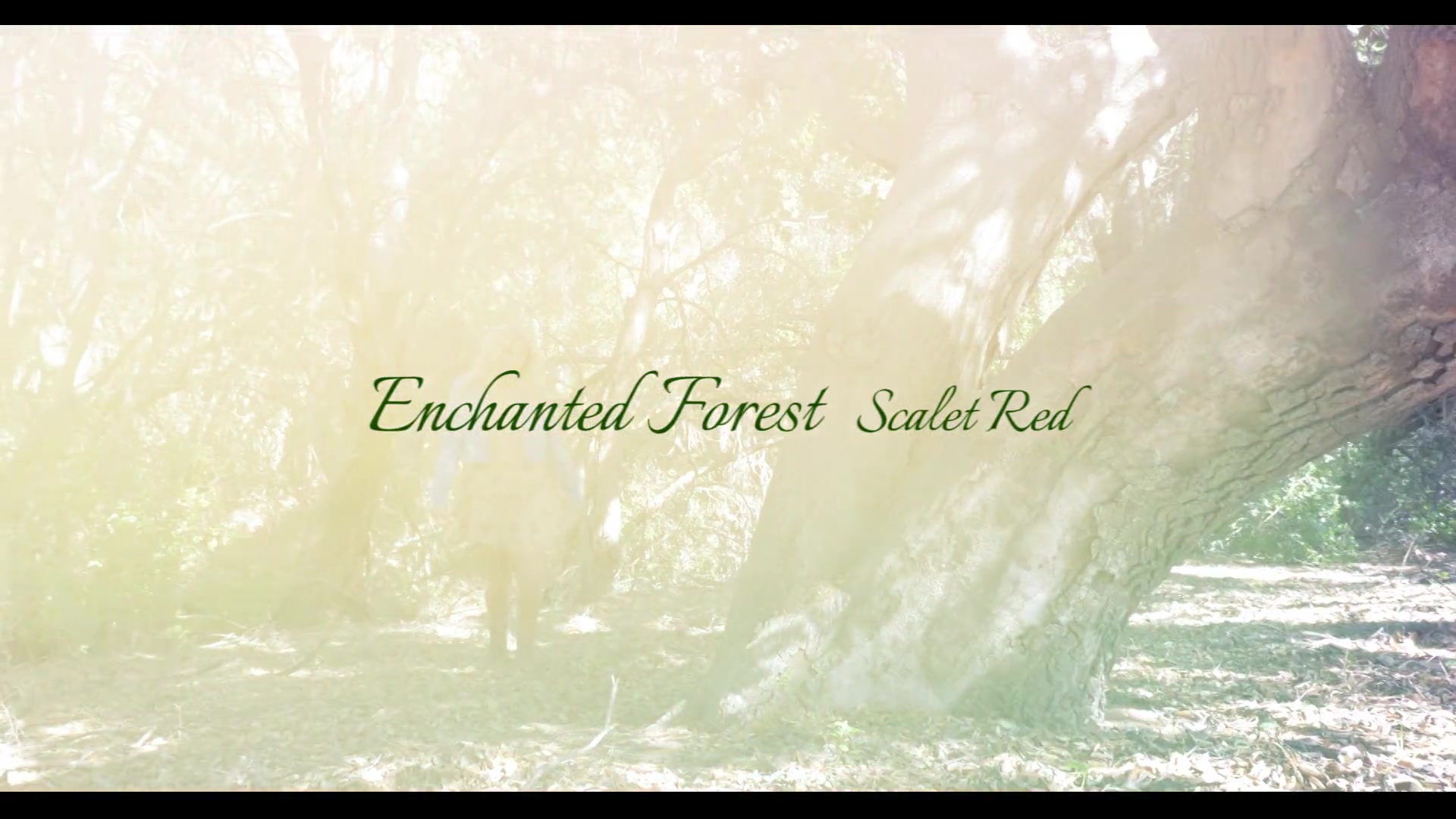 Scarlet Red In Enchanted Forest - Sex Movies Featuring Audrey Hollander