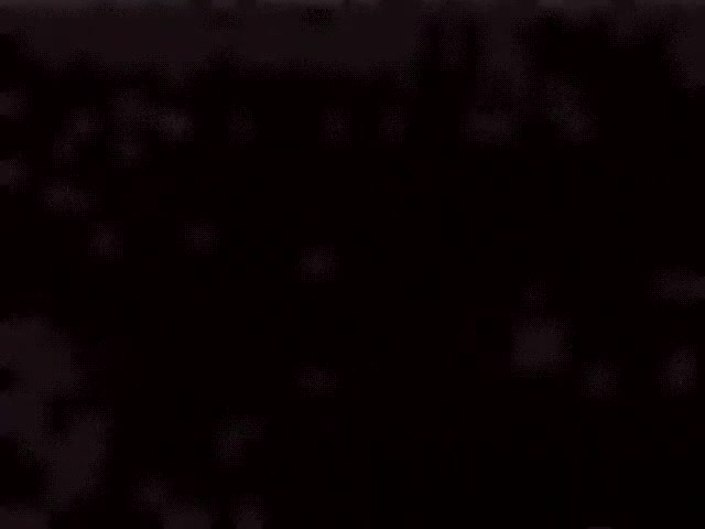 Trans Sex Compilation